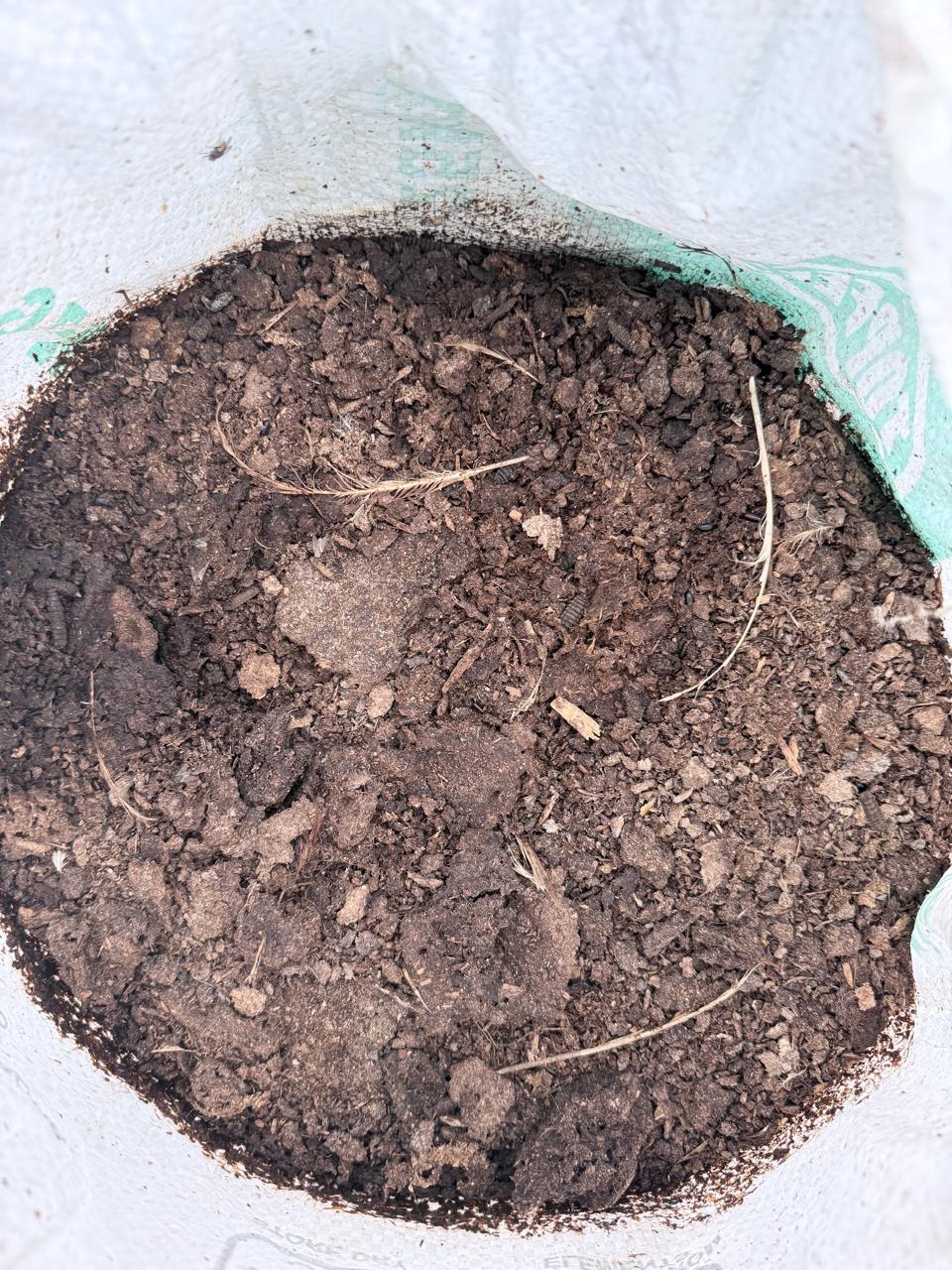 Fresh manure ready for sale